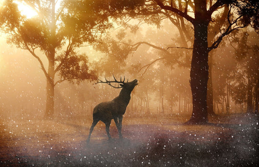 Cerf majestueux dans une forêt dorée symbolisant la sagesse des animaux sacrés