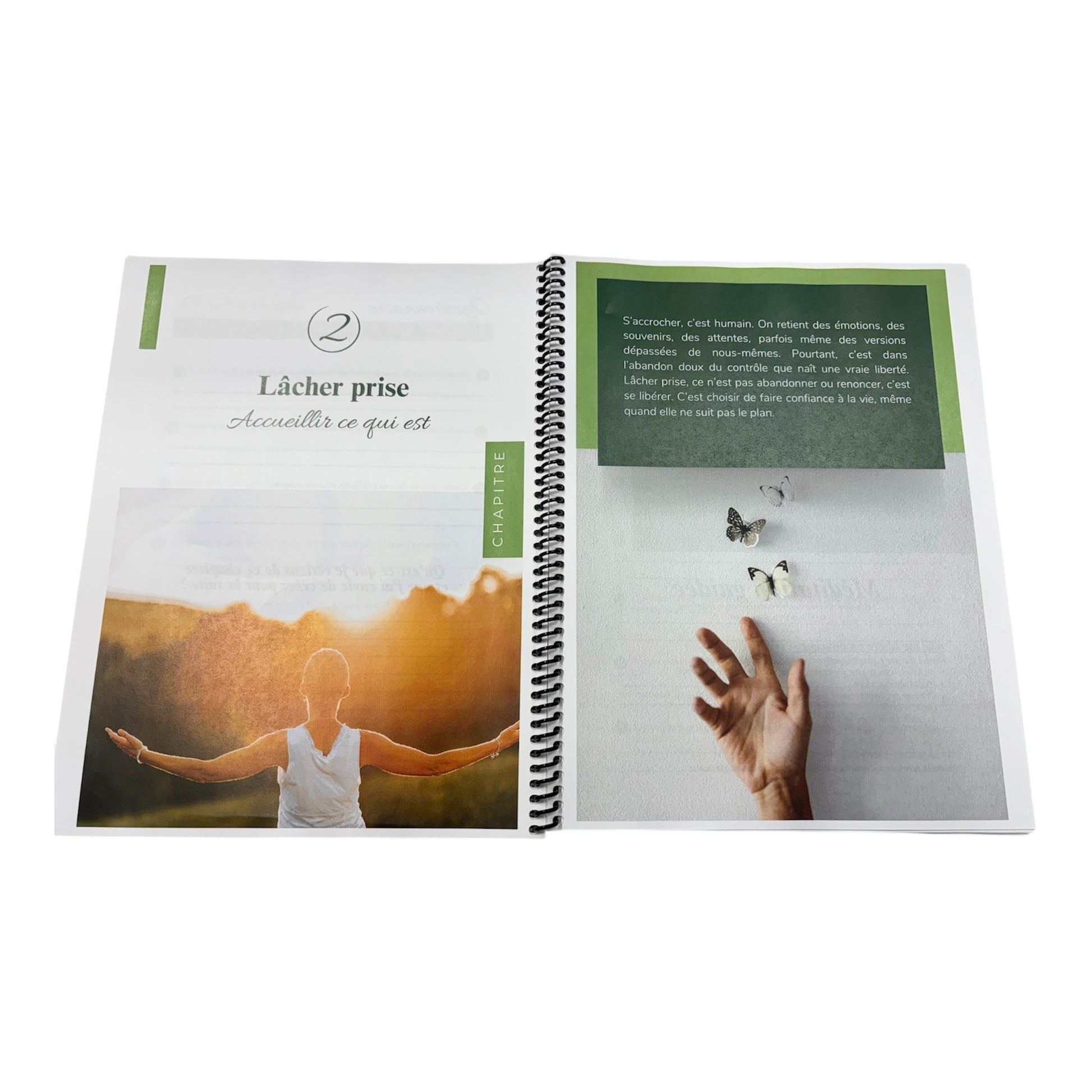 Lâcher prise  / accueillir ce qui est 
